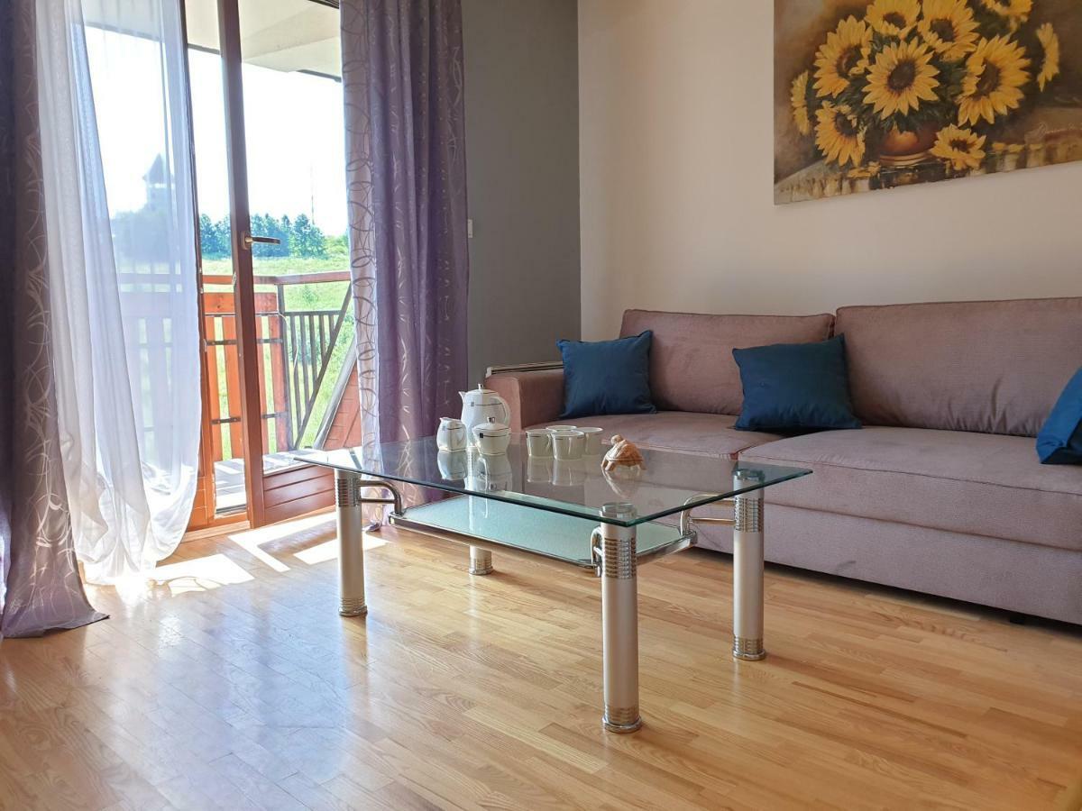 Apart4You Apartamenty Boruta Zakopane Eksteriør billede